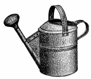 1890s Watering Can.