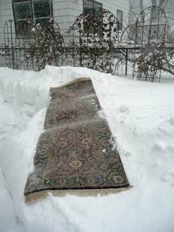 One of Deb’s rugs luxuriates in a snow bath.