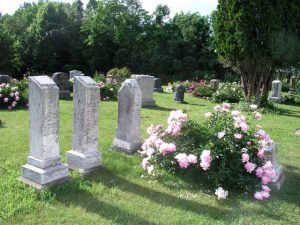 Peonies in a cemetary.