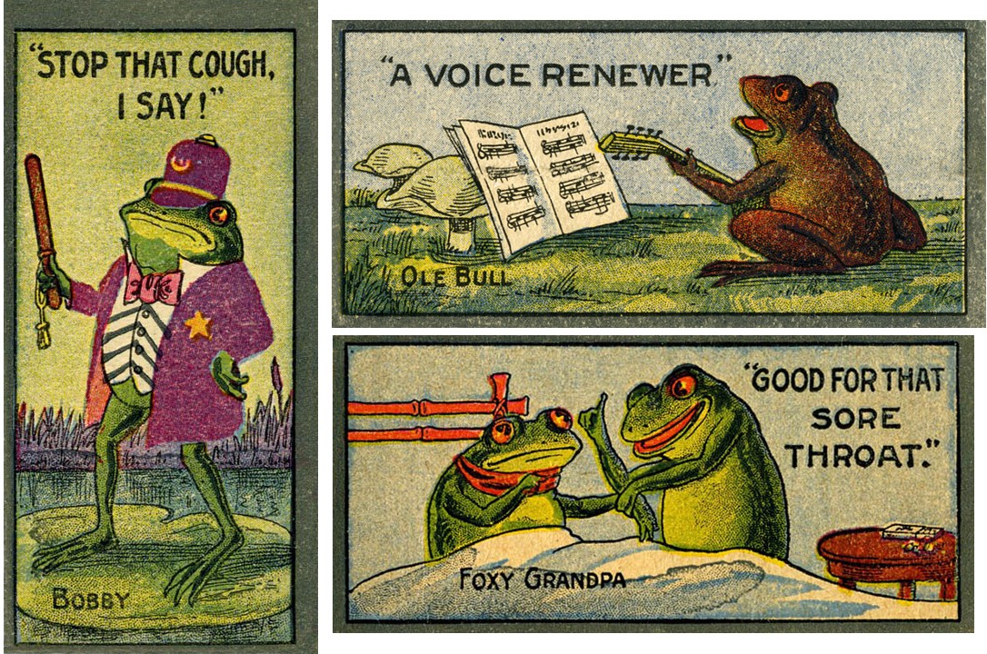 3 frog medicine cards.