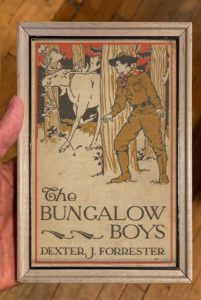 book cover “The Bungalow Boys”