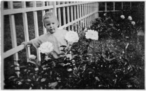 Photo of little boy by Peony bush.
