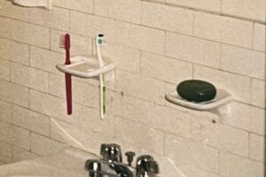 Toothbrush holder and soap dish on wall.