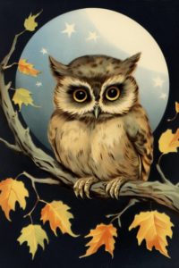 Owl sitting on a branch in front of a full moon