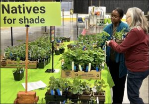 Two women shopping for shade plants.