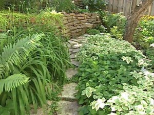 Stone path in a garden.