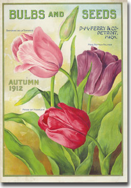 1912 Tulip Catalog.