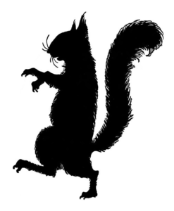 squirrel