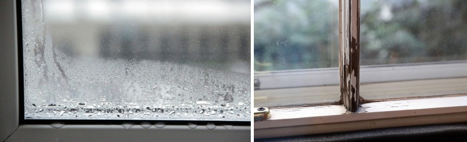 Window condensation and damaged paint.
